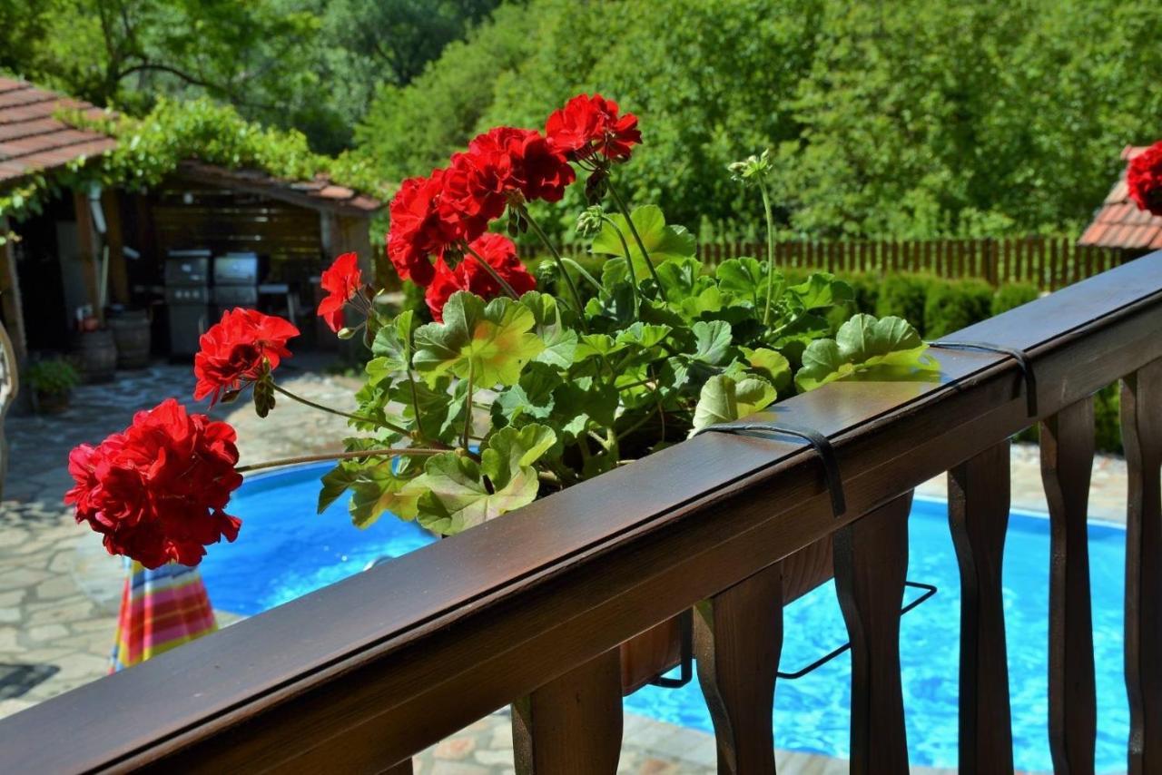 Къща Край Реката/ House By The River Vetrintsi المظهر الخارجي الصورة